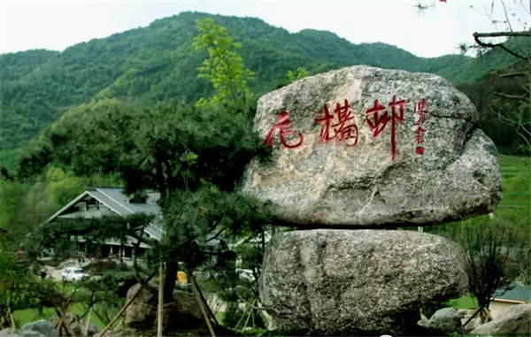 康縣花橋村